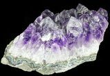 Purple Amethyst Cluster - Uruguay #66796-1